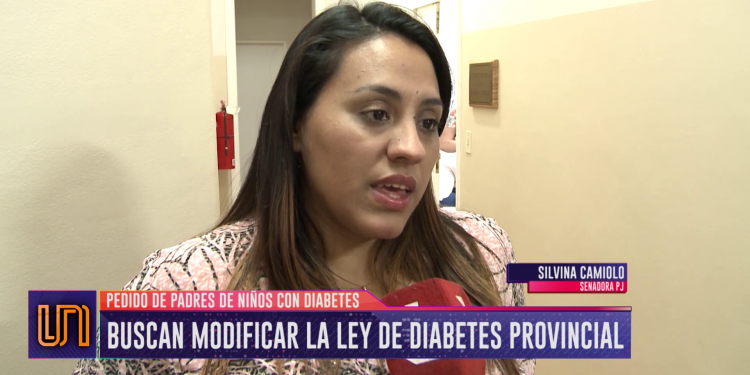 Analizan proyectos para contener a los chicos con diabetes 