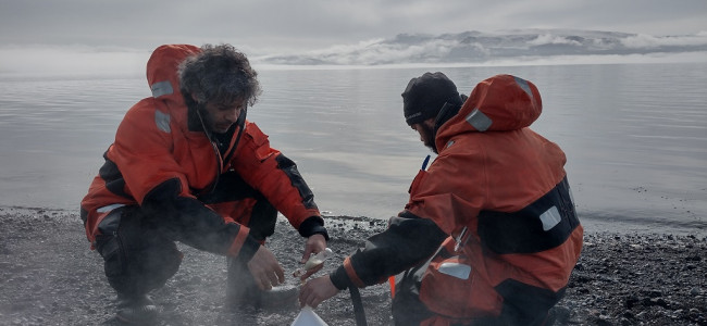 Volcanes activos en la Antártida: equipo científico argentino estudia su comportamiento 