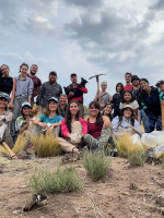 Parque Cordón del Plata: un grupo voluntario efectuó una reforestación de 200 plantas