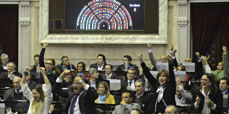 En qué consiste el proyecto que se aprobó en Diputados