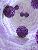 Descubren cómo una proteína antitumoral bloquea la replicación del VPH