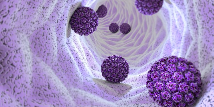 Descubren cómo una proteína antitumoral bloquea la replicación del VPH