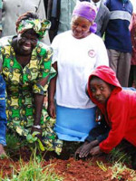 Murió la keniana Wangari Maathai, Nobel de la Paz en 2004 