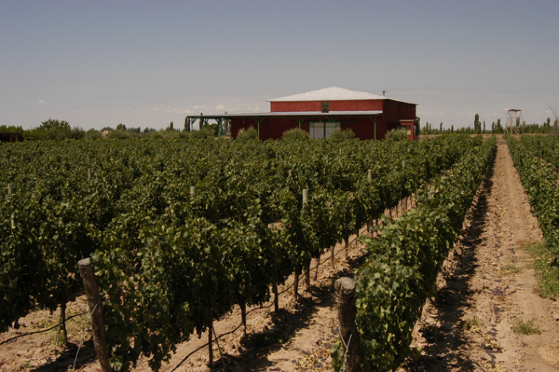 Extranjeros interesados en el "valor natural" de las tierras de Mendoza