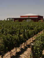 Extranjeros interesados en el "valor natural" de las tierras de Mendoza