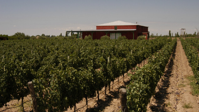 imagen Extranjeros interesados en el "valor natural" de las tierras de Mendoza