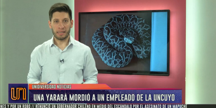 ¿Qué hacer ante la mordedura de una serpiente?