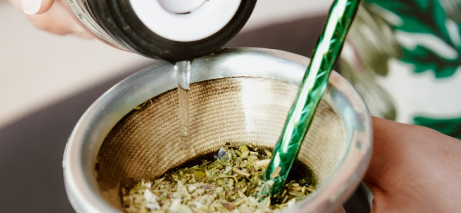  Equipo de la UNCUYO demostró el efecto protector de la yerba mate frente al cáncer de próstata