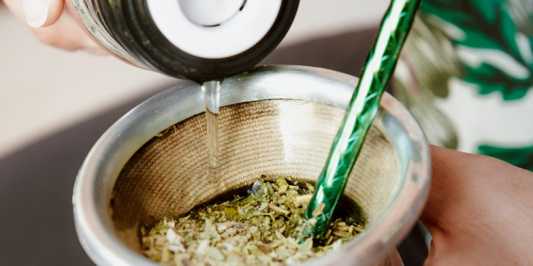  Equipo de la UNCUYO demostró el efecto protector de la yerba mate frente al cáncer de próstata