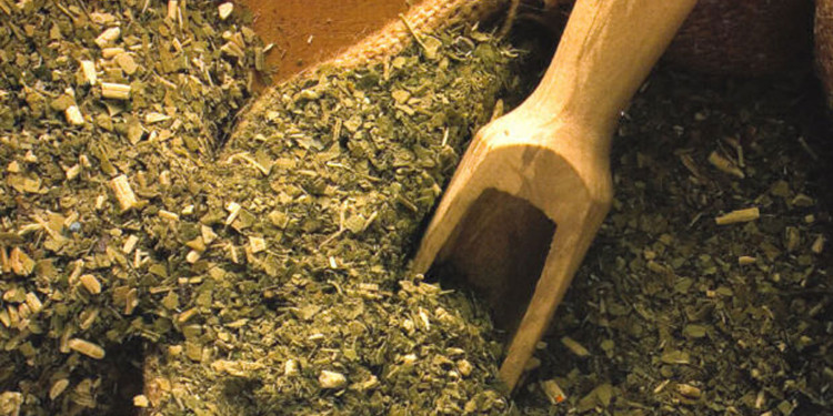 La yerba mate, un producto con alternativas de uso 
