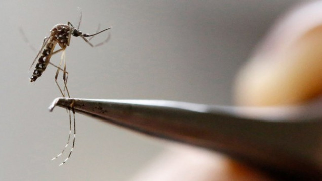 imagen Colombia, en el ojo de las epidemias