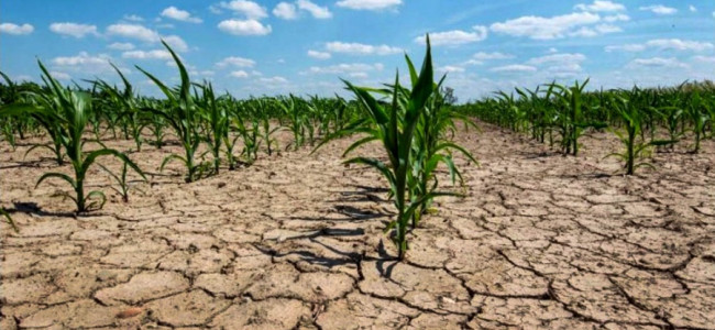 Cuáles son las zonas del mundo que serán inhabitables por las olas de calor