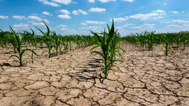 imagen Cuáles son las zonas del mundo que serán inhabitables por las olas de calor