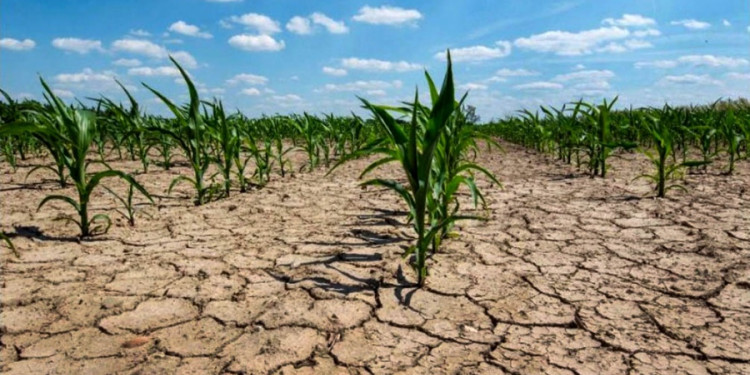 Cuáles son las zonas del mundo que serán inhabitables por las olas de calor