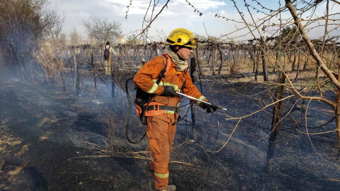 El zonda dejó más de un centenar de incendios en Mendoza