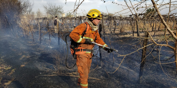 El zonda dejó más de un centenar de incendios en Mendoza