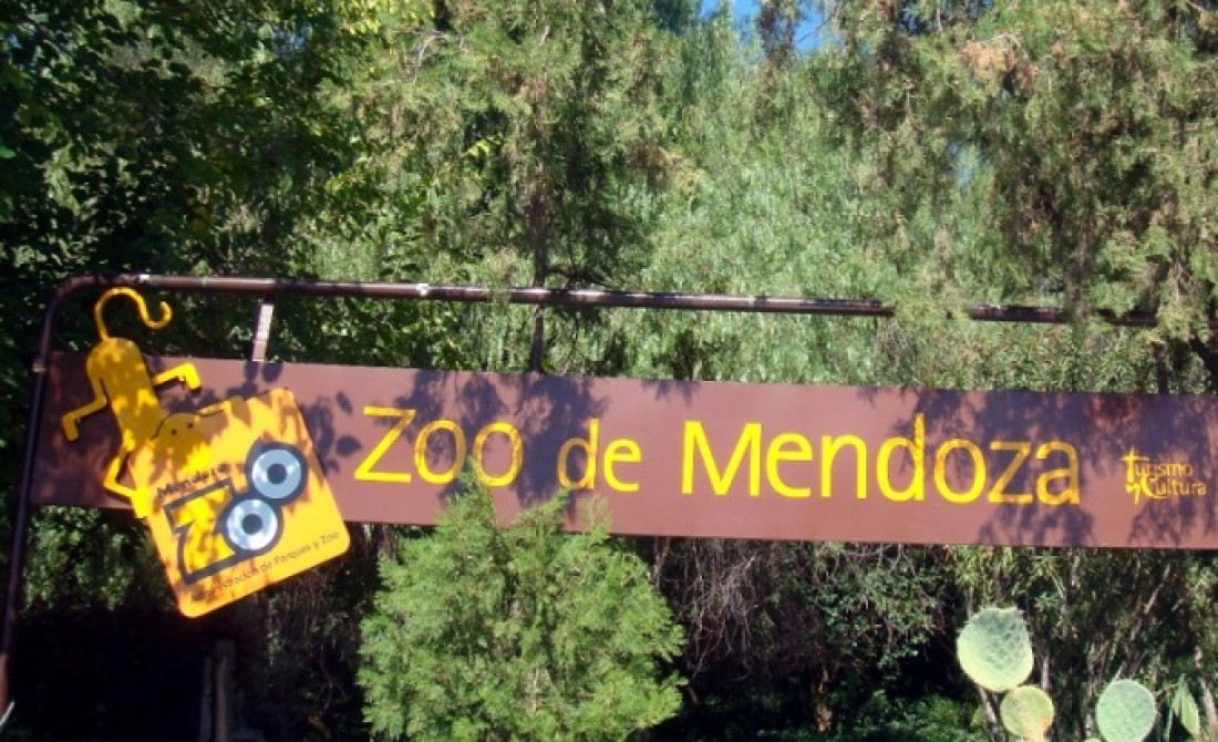 "El zoológico es la cárcel de los animales" 