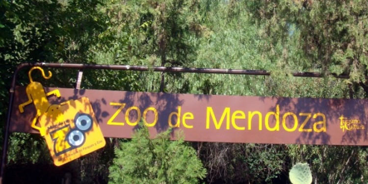 "El zoológico es la cárcel de los animales" 