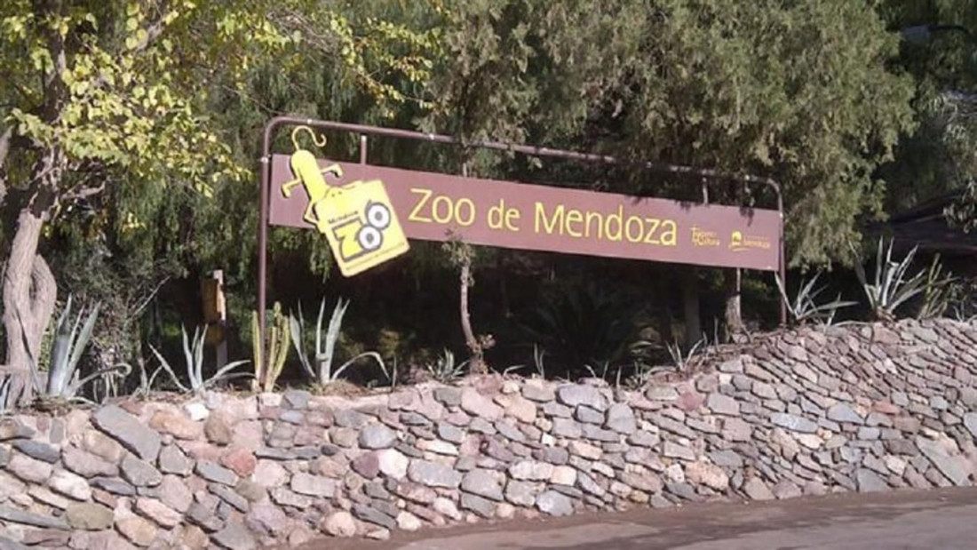 "Con la emergencia ambiental, hay un decidido apoyo y gestión para que el Zoo empiece a mejorar"