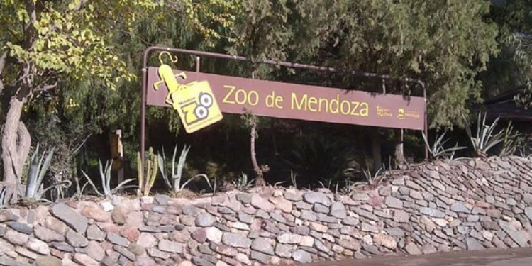 "Con la emergencia ambiental, hay un decidido apoyo y gestión para que el Zoo empiece a mejorar"