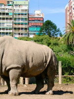 El Zoo de Buenos Aires se convertirá en un Ecoparque interactivo