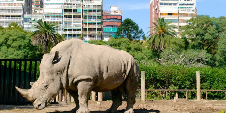 El Zoo de Buenos Aires se convertirá en un Ecoparque interactivo