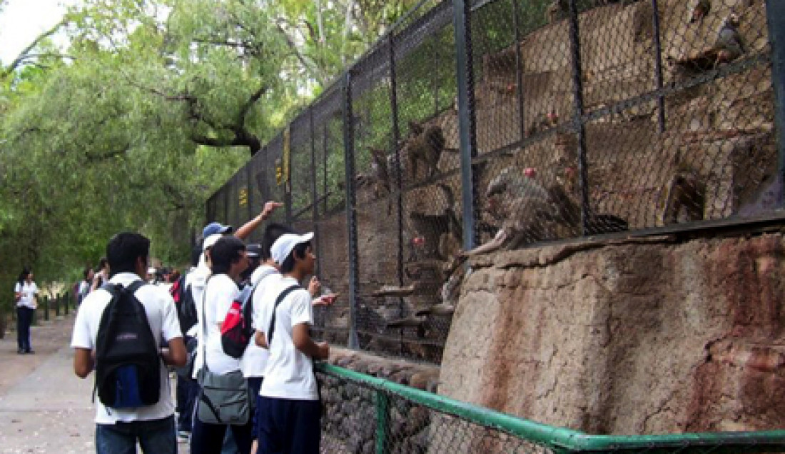 Columna de Ecología: Proyecto para reconvertir el Zoológico de Mendoza