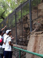 Columna de Ecología: Proyecto para reconvertir el Zoológico de Mendoza