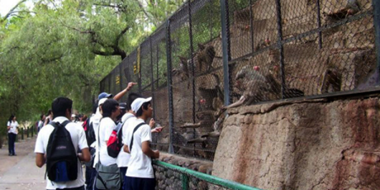 Columna de Ecología: Proyecto para reconvertir el Zoológico de Mendoza