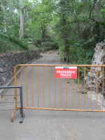 Continúan investigando por qué murieron los animales del Zoo