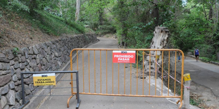 Continúan investigando por qué murieron los animales del Zoo