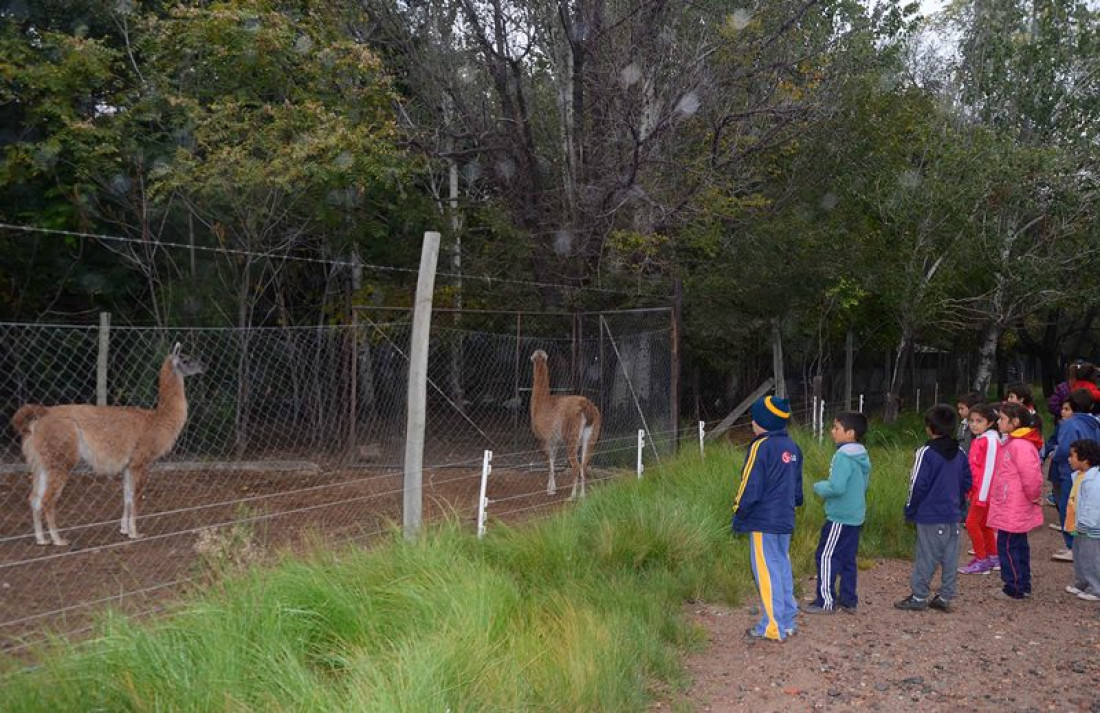 Los animales del Zoo murieron intoxicados por carbofurano