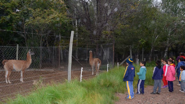 imagen Los animales del Zoo murieron intoxicados por carbofurano