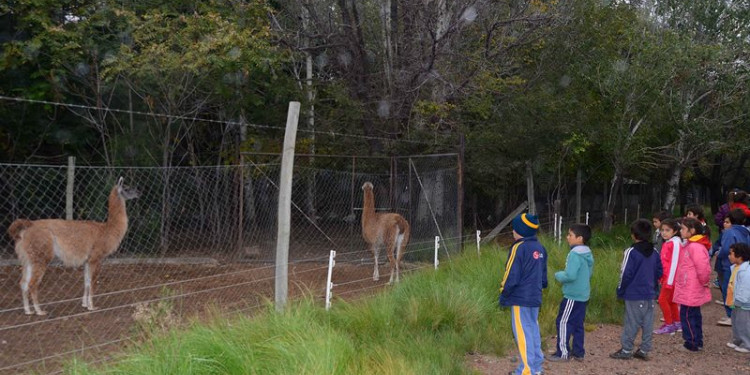 Los animales del Zoo murieron intoxicados por carbofurano