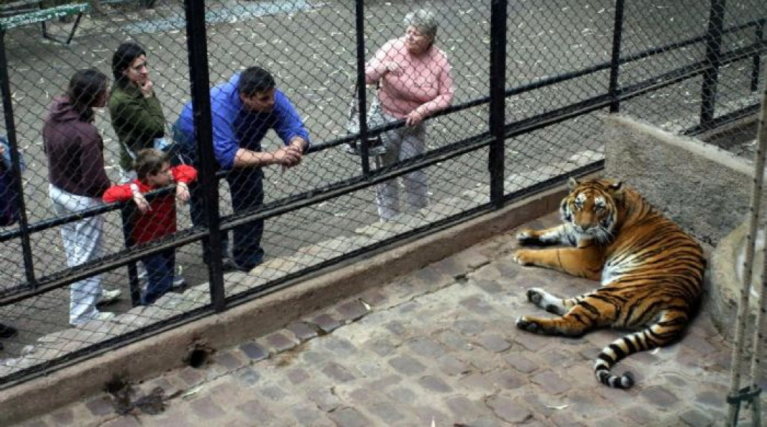 Organizaciones y ciudadanos presentaron un proyecto para la reconversión del zoológico de Mendoza