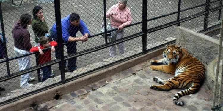 Organizaciones y ciudadanos presentaron un proyecto para la reconversión del zoológico de Mendoza