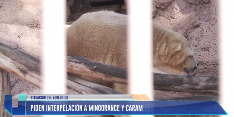 Diputados del FpV quieren interpelar a Caram y Mingorance por el Zoo