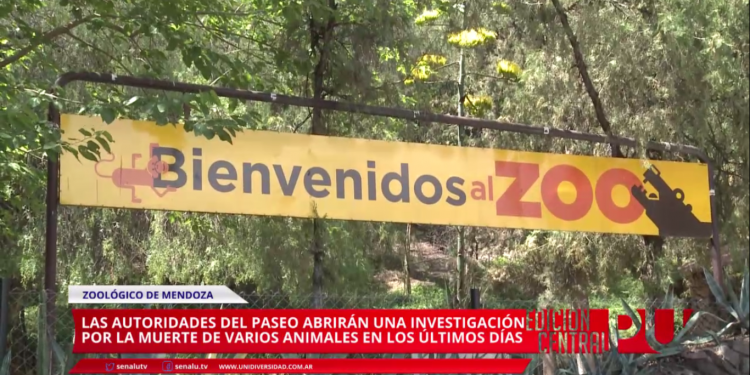 Investigación por muerte de animales en el Zoo