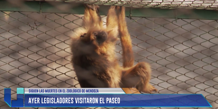 Legisladores visitaron el zoológico de Mendoza
