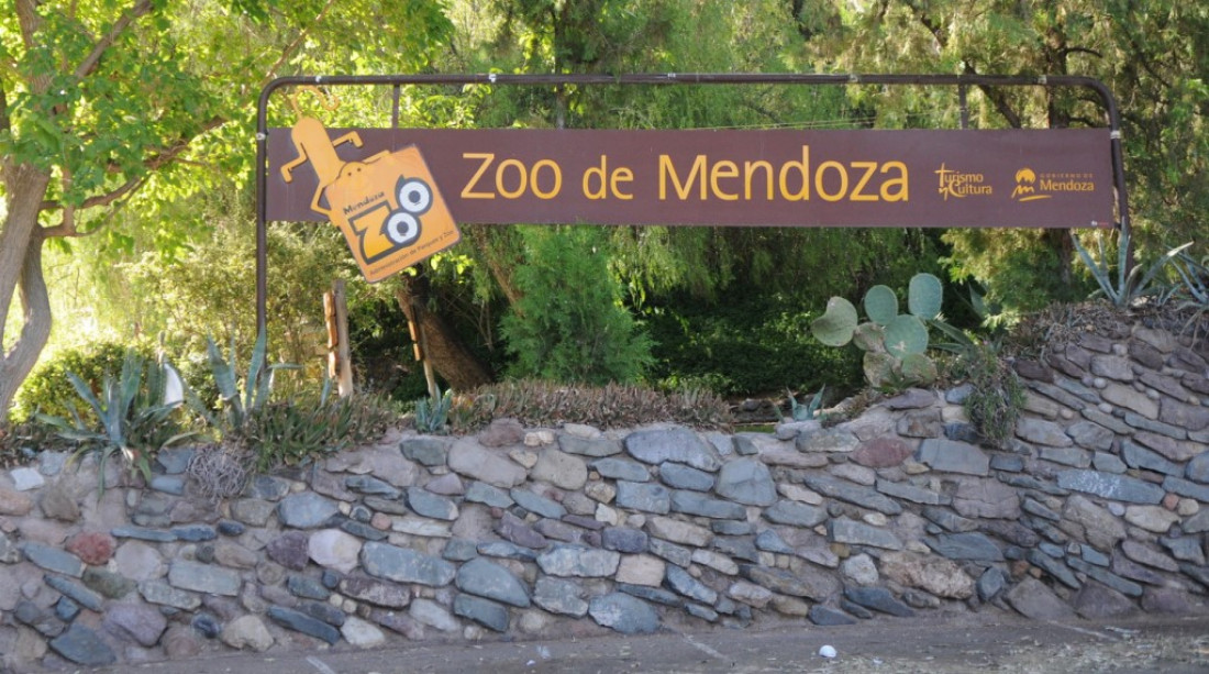 Más animales muertos en el Zoológico