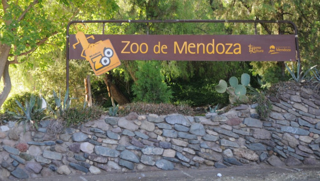 imagen Más animales muertos en el Zoológico