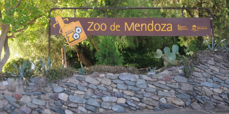 Más animales muertos en el Zoológico