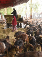 En 45 días podría tratarse el proyecto del Ecoparque