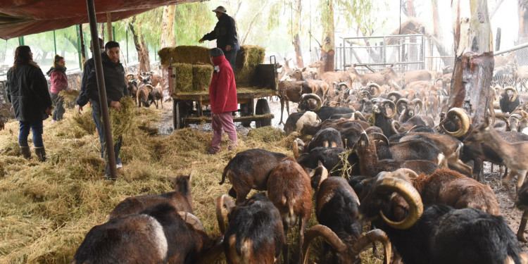 En 45 días podría tratarse el proyecto del Ecoparque