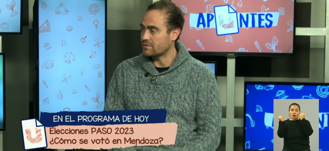 ¿Qué vota el electorado mendocino y por qué?