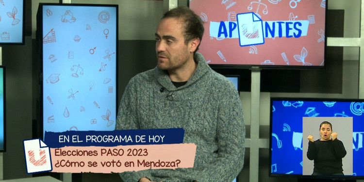 ¿Qué vota el electorado mendocino y por qué?