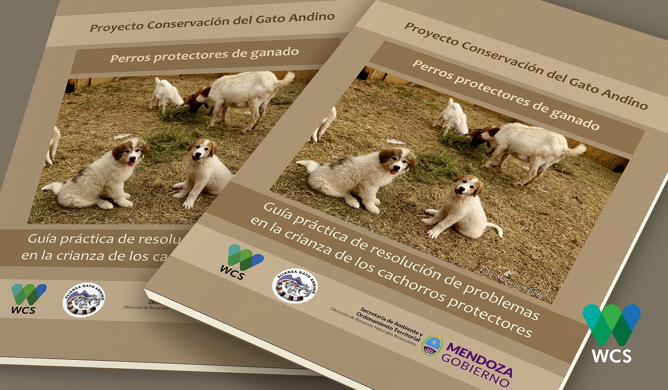 perros protectores