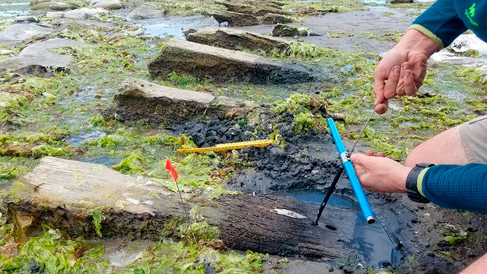 Barco naufragio dendroarqueología