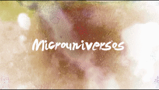 Microuniversos