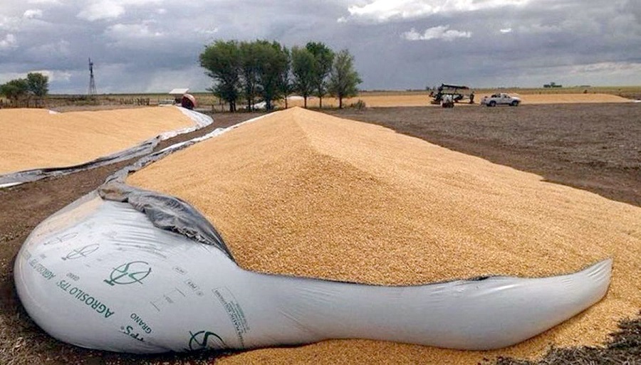 Silobolsas, el "invento argentino" que tambin se utiliza en Mendoza -  Unidiversidad